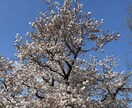 無気力な気持ちで困っている方におすすめします カウンセラーが、あなたの悩みに一緒に寄り添います。 イメージ1