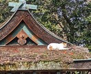 お悩み、疑問、雑談など。あなたのお話をうかがいます こんなこと聞いてもらえるのか、なんて思わずに！ イメージ2
