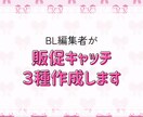 BL編集者が刺さる販促キャッチ作成します 推し尊さ→購買衝動へ導く3種コピー イメージ1