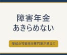 障害年金相談から申請までを伴走します 受給の可能性を専門家が見立て｜相談から申請まで伴走 イメージ1