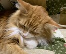 ご希望に沿った動画編集をします いろんな種類に対応していきます！ イメージ1