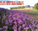 あなたの長所、強み、自己肯定を易占で性格診断します ☯成長を妨げる問題内部事情を透視☯自分探し、就職活動に最適☯ イメージ6