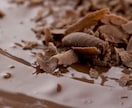 片思いのかた、成就に向けてサポートいたします 気になるあの人との可能性…距離を縮めるアドバイス イメージ1