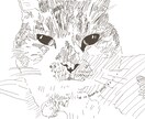 待ち受け　アイコン作成しかわいいイラスト描きます 猫が好き。可愛いイラスト、アイコン作成します。 イメージ4