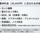 丸投げOK企業向けPRYouTube動画制作します 徹底品質管理！御社のビジネスを加速させるプロの映像制作 イメージ7
