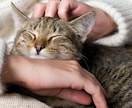 甘えてみてください あなたに寄り添います どんな事でも大丈夫ですよ♩ 疲れてるあなたに癒やしを… イメージ1