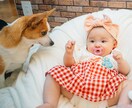 東京出張写真！おしゃれ写真撮ります かわいい赤ちゃんおうち写真♪ハーフバースデー、バースデーも イメージ8