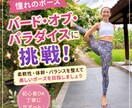 憧れのポーズバード・オブ・パラダイスに挑戦します 股関節・体幹・バランスを整えながら、完成形を目指します イメージ1