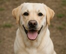 愛犬のお写真からLINEスタンプ作成します 24時間以内に納品！愛犬スタンプ8個セット イメージ2