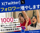 Xの外国人フォロワー＋1000人増やします X（旧Twitter）のフォロワーを1000人〜増加します！ イメージ1