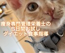 お試し！5日集中ダイエットの栄養指導をいたします 5日間で食事の基礎を学べます！早急に痩せたい方必見です！ イメージ1