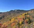 海外の写真素材提供します アメリカ在住、なんでも撮ります イメージ2