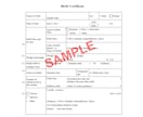 戸籍謄本の翻訳3,800円から行います 最短当日納品も可能です！戸籍をスマホで撮影して送るだけ！ イメージ8