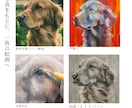 愛犬を手描きでオーダーメイドの肖像画にします 大切な思い出を、暮らしの中に飾る一枚に。 イメージ2