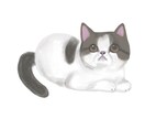 商用OK！ご要望に合わせたイラスト描きます ちょっと味がある、癒される、なんか可愛い、イラスト描きます！ イメージ2
