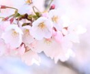 霊感リーディング致します ちょっとしたお悩みにお困りなあなたへ イメージ1