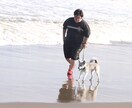 家庭犬訓練士がわんちゃんのお悩みを一緒に解決します 愛犬にストレスのかからないベストな方法をご提案致します。 イメージ4