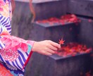 あなただけの【秘密のVIPルーム❤︎】開店します 【ご贔屓さま限定】NANAと通話してみませんか？ イメージ1