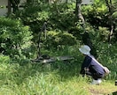 1日30分!ストレッチレッスンします 1日のスタートや隙間時間に、身体を解しましょう! イメージ1