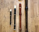 現役海外音大生がリコーダーレッスンします 楽器を初めて触る方からステップアップを目指す方へ イメージ1