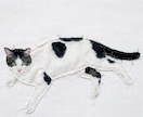 猫・ペットの布コラージュ作品を制作します 写真から布と手縫いでペットアート制作 イメージ5