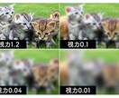 ICL経験者が手術のリアルな痛みや流れを教えます 新宿近視クリニック経験者と本音で話せるICLのリアルについて イメージ5
