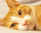 複雑恋愛、人間関係、仕事 タロット鑑定します 今すぐ知りたいあの人の本当の気持ちをズバリ視る！ イメージ6