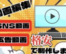 破格で動画編集3500円でさせていただきます SNSや広告の動画を編集いたします！ イメージ1