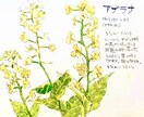 アナログイラスト描きます 簡単なペン画から、ちょっと細かい絵まで、何でも描きます イメージ6