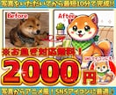 最短10分！ペット写真を可愛いアニメ風に描きます 急ぎの方必見！大切なペットを素早く可愛くイラスト化♪ イメージ1