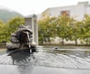 あなたの恋の悩みお聞きします 恋愛のお悩みを中心に、愚痴聞きやアドバイスをいたします！ イメージ2