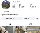 インスタ日本人フォロワーをゆっくり自然に増やします ☆最高品質☆本物のインスタ日本人フォロワー+100~3万 イメージ4