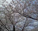 話・愚痴・悩み・相談・雑談なんでも聞きます 否定しません、ただあなたの話を聞かせてください。 イメージ1