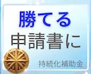 小規模事業者持続化補助金の申請書を添削します 審査傾向から販路開拓性・売上ストーリー・事業の妥当性チェック イメージ1