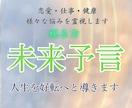 霊譜を紐解き、貴方が辿り着く未来を予言します 停滞した運命を裁定し、これから訪れる真実の物語を詳述します。 イメージ1