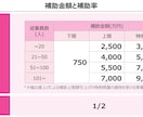 新事業進出補助金の事業計画書を作成します 【コンサル x 投資銀行出身者】短納期で高品質な事業計画書 イメージ7