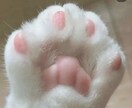 サクッと！『恋愛・金運・人間関係』占います ⭐︎レビューイベント中⭐︎チャットで気軽にのんびり イメージ1