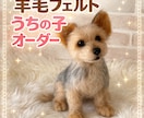 5名限定　愛犬のうちの子オーダーお作りします もう一度会いたい愛犬を羊毛フェルトでお迎えしませんか？ イメージ3