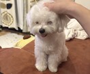 失恋復縁の相談承ります LINEの返信も一緒に考えます！ イメージ1