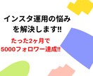 インスタ運用悩みを解決致します 2ヶ月で5000フォロワーを獲得した運用方法を伝授します イメージ1