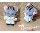 世界に１つ！推しぬい作ります 大好きな気持ちをぬいぐるみにしませんか？？ イメージ7