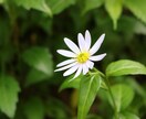 悩み事相談にのります モヤモヤとした気持ちスッキリしたくありませんか？ イメージ2