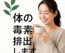 腸から若返りを叶えます 腸から若返る！4日間の毒出しファスティングガイドです。 イメージ1
