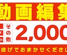 素材を丸投してください！イメージ通り編集をします 修正３回まで無料！プロジェクトファイルの納品も可能です！ イメージ1