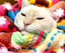 お話し聞きます お悩み、話し相手、なんでもOK！⋆⸜(* ॑꒳ ॑*  )⸝ イメージ1