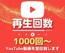 YouTube動画の再生回数を増やします チャンネルを宣伝してYoutube動画の再生数を増やします。 イメージ1