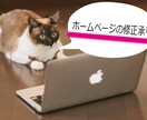 Webサイトの修正を1ヶ所承ります ホームページ制作・管理などでお困りの方に。 イメージ1