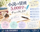 小説の冒頭3,000字を読者目線でチェックします 「続きが気になる？」を初見の読者目線でお伝えします！ イメージ1