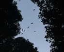 自然・食べ物等の写真を提供、代行させていただきます 目に入ったその一瞬を写真に収めることが好きです。 イメージ6