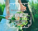 私たちどんな夫婦？「2人の関係」を読み解きます ― うまくやるより、わかり合うための取扱説明書 ― イメージ1